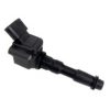 FISPA 85.30377 Ignition Coil